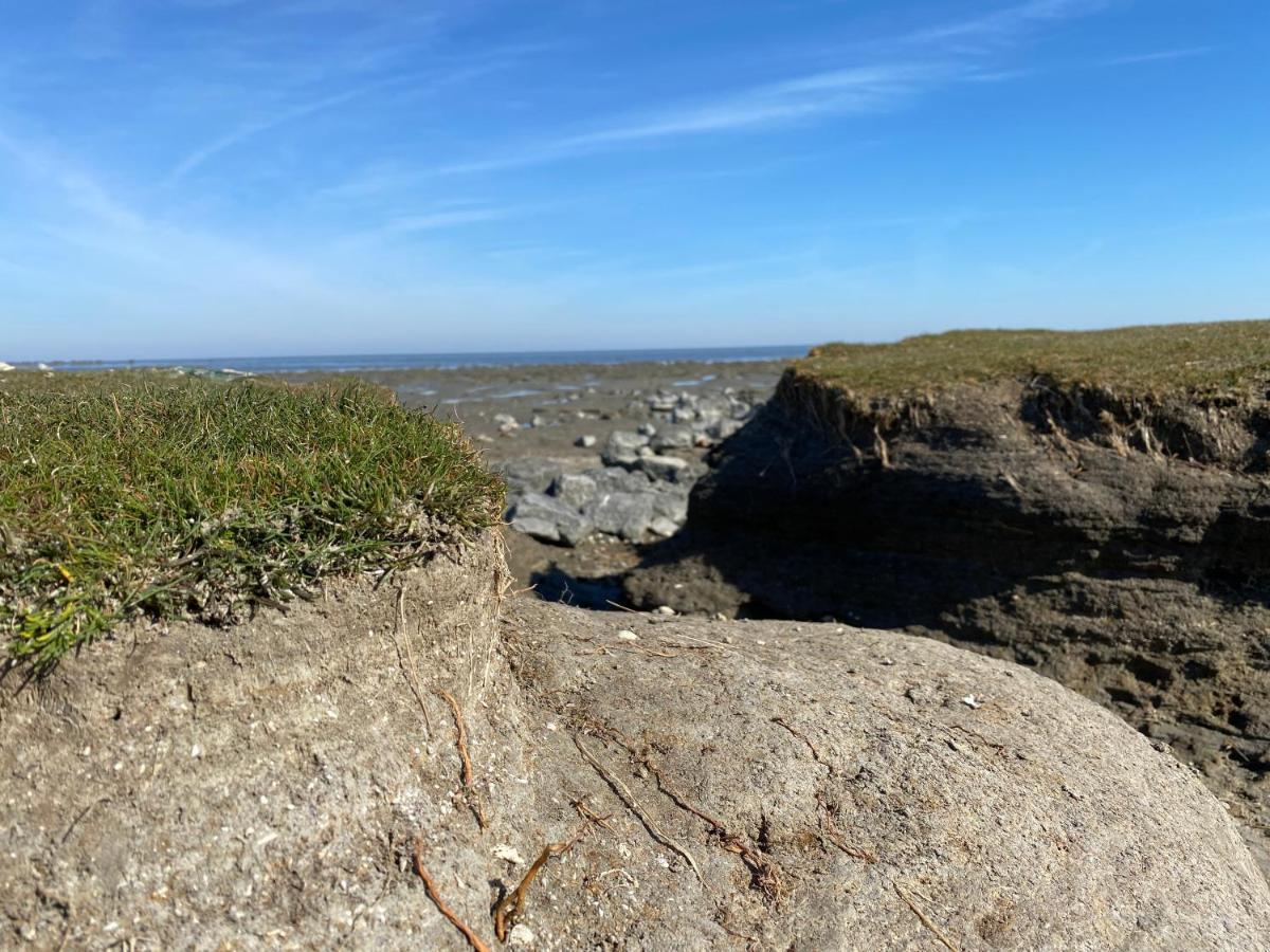 Wierums Huske Aan De Waddenzee Unesco Werelderfgoed Экстерьер фото