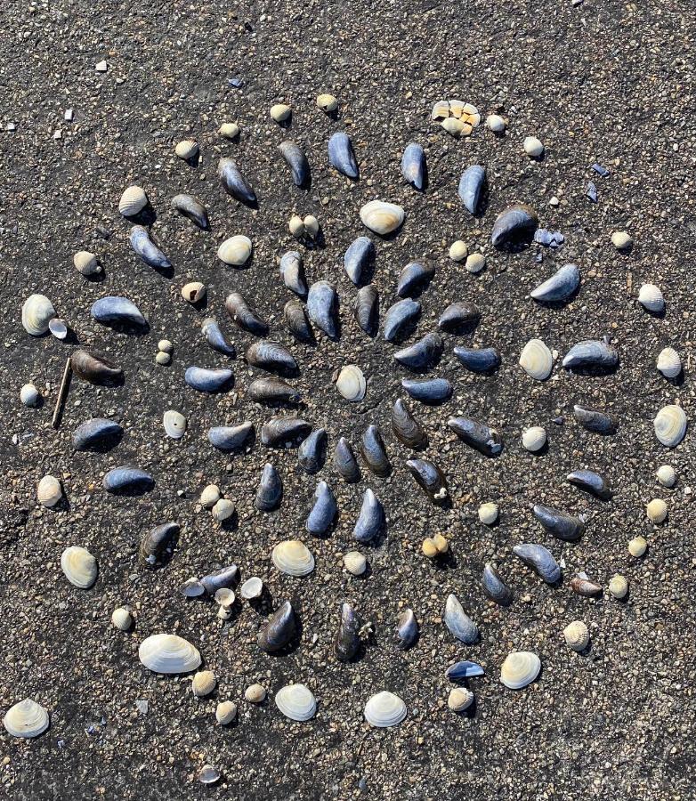 Wierums Huske Aan De Waddenzee Unesco Werelderfgoed Экстерьер фото